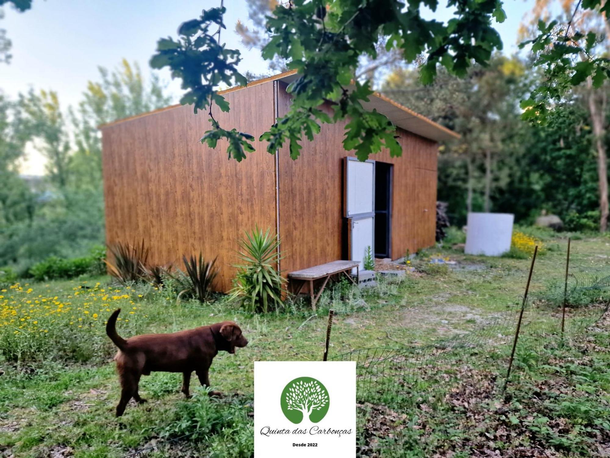 Quinta Das Carboncas Fafe Bagian luar foto