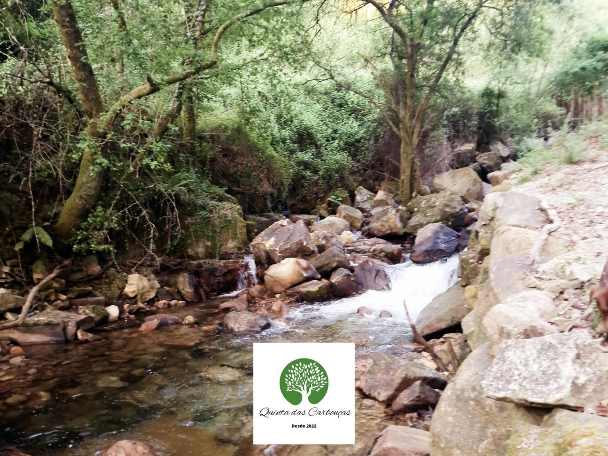 Quinta Das Carboncas Fafe Bagian luar foto
